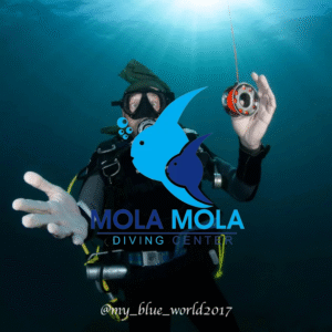 Photography #34 from Test 1