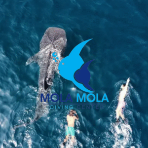 Photography #36 from Test 1